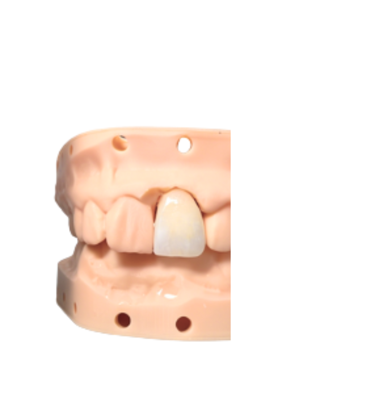 Permanent Crown and bridge resin 250ml