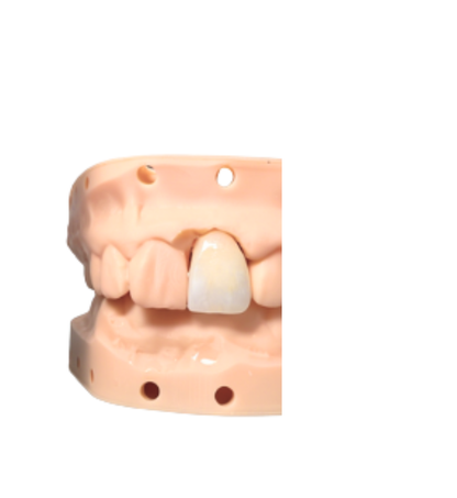 Permanent Crown and bridge resin 250ml
