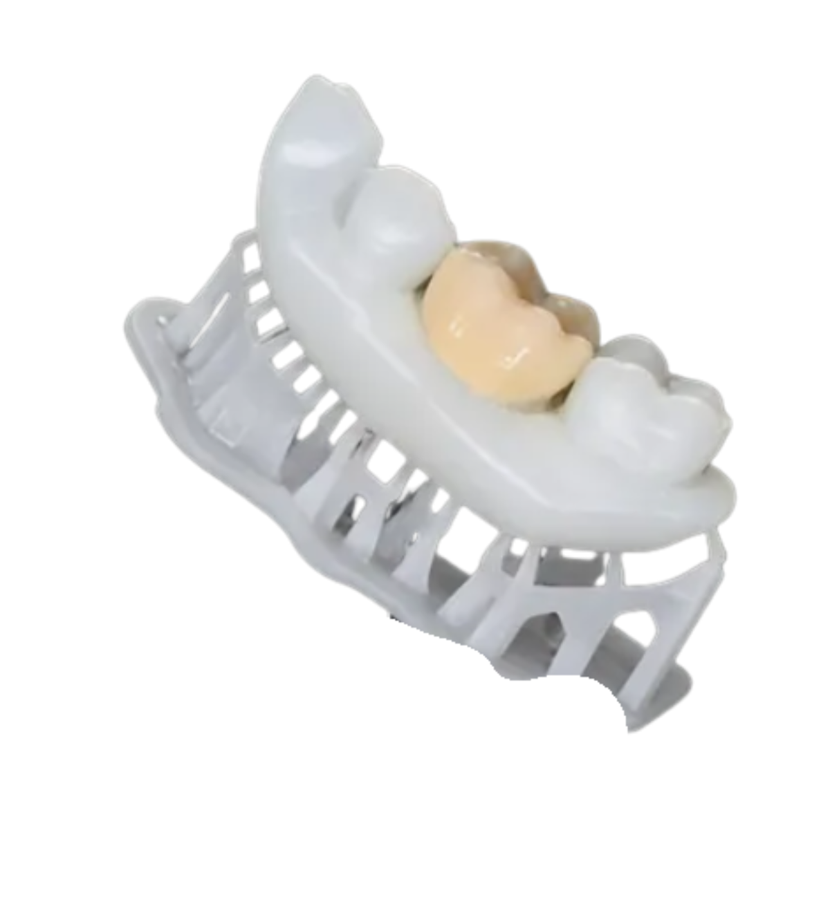 Permanent Crown and bridge resin 250ml
